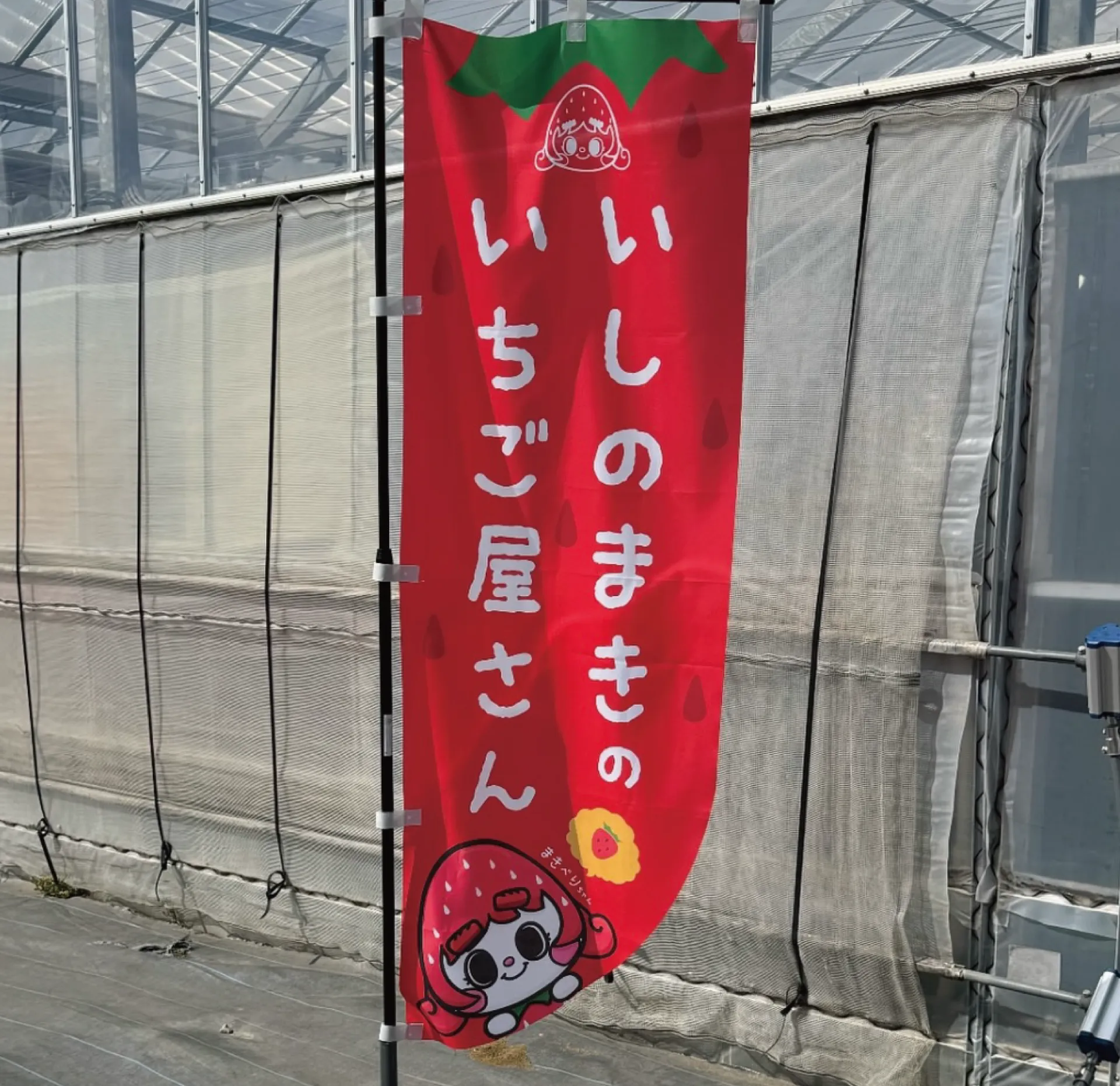 実用性が高く親しみやすい
